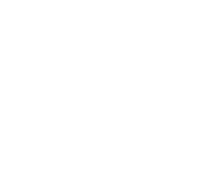 Burr Consult